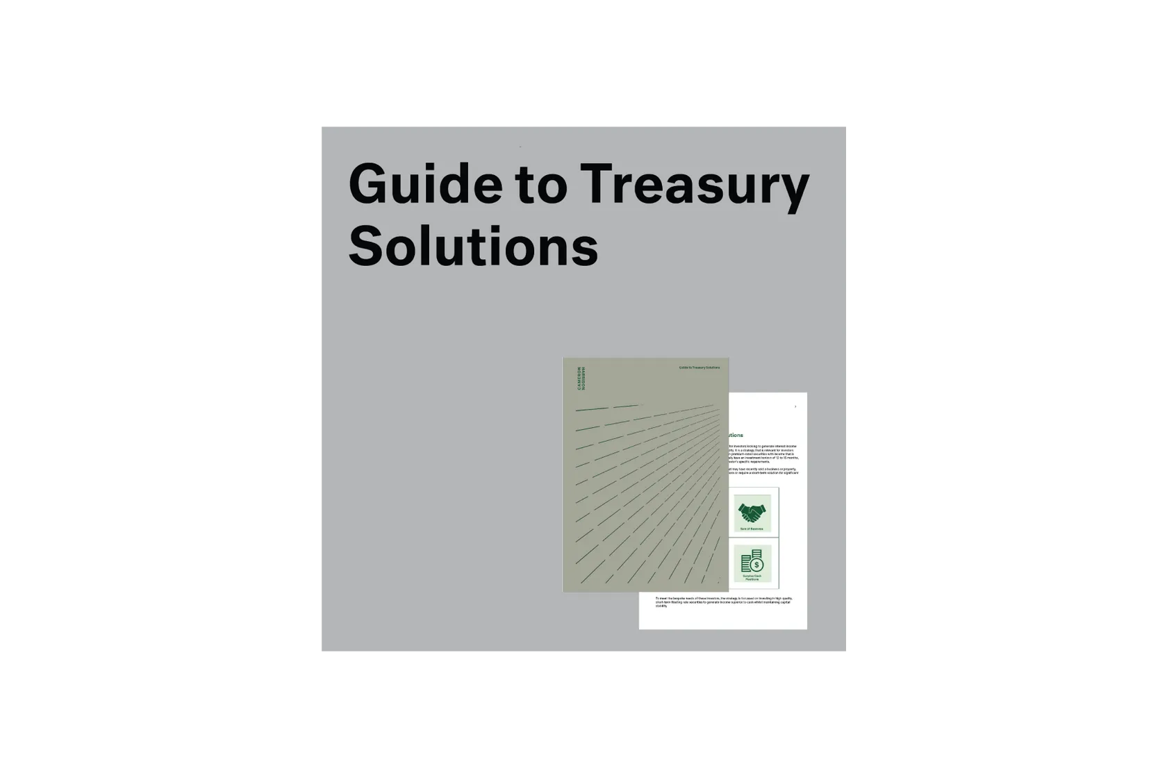 Image - Guide to Treasury Solutions
