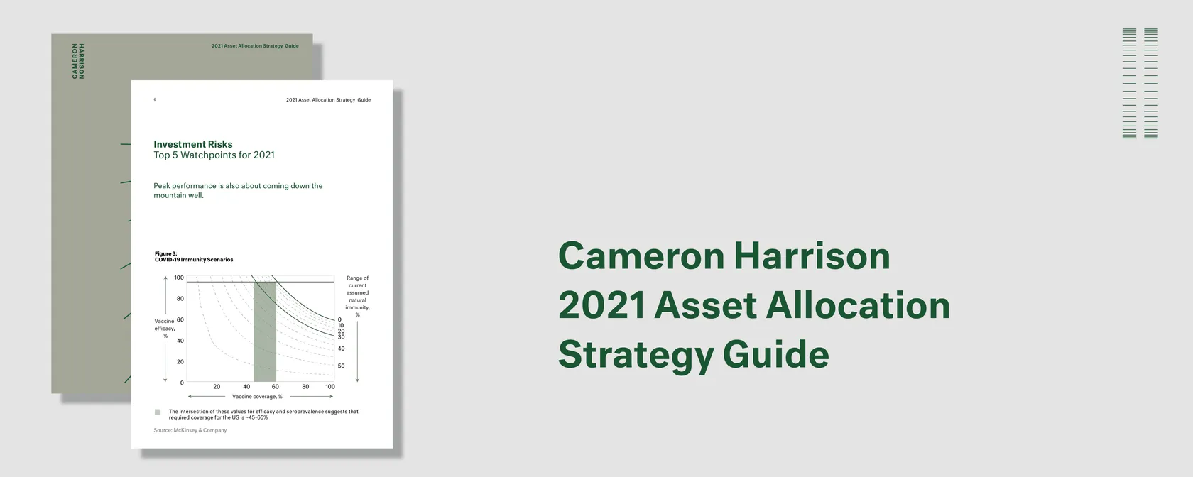 Cameron Harrison 2021 Asset Allocation Strategy Guide