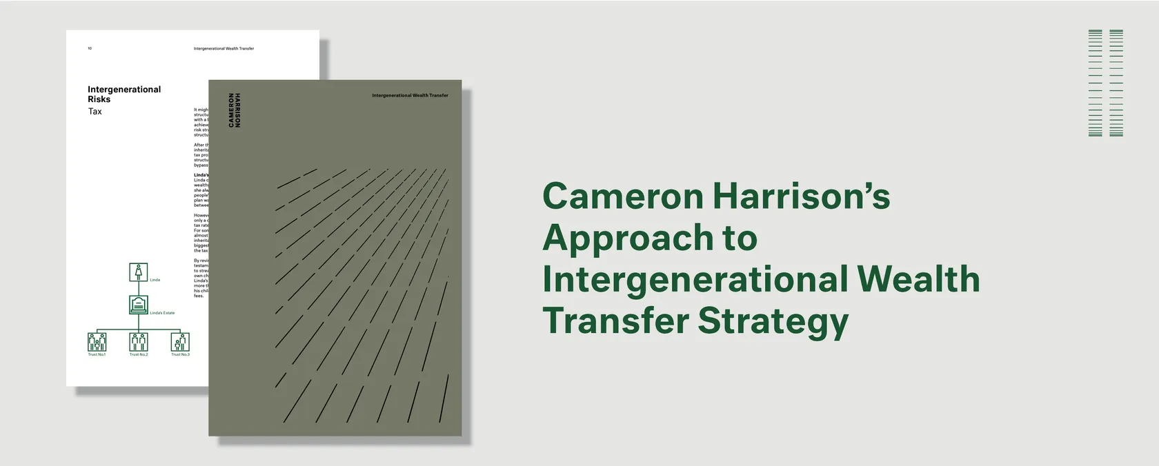 Cameron Harrison's Approach to Intergenerational Wealth Transfer Strategy